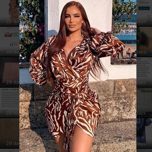 Fashion Nova She’s An Animal mini dress. Large